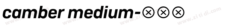 camber medium字体转换